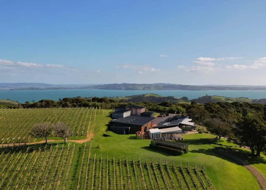 Auckland: Waiheke Island Wine and Food Tasting with Flights - A Day That Starts in the Air: Auckland to Waiheke Flights