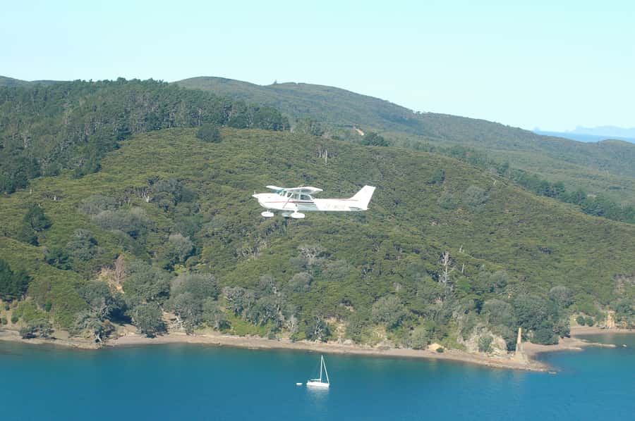 Auckland: Waiheke Island Wine and Food Tasting with Flights - Champagne Tasting and Premium Wine: What You’re Really Buying