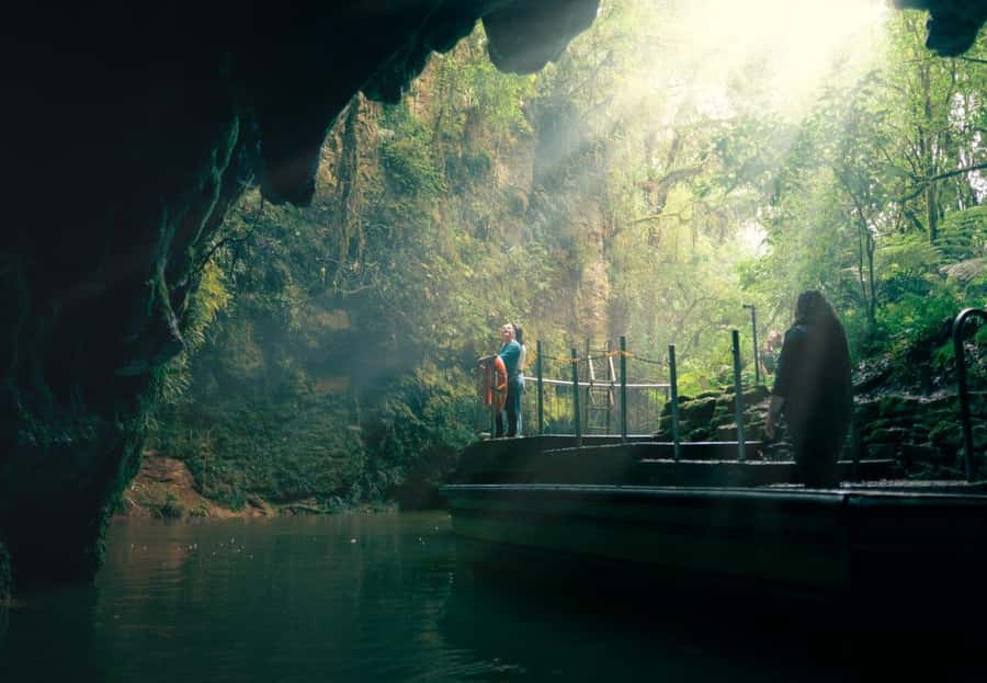 Auckland: Waitomo Caves & Rotorua - Te Puia Small-Group Tour - Key points you’ll care about