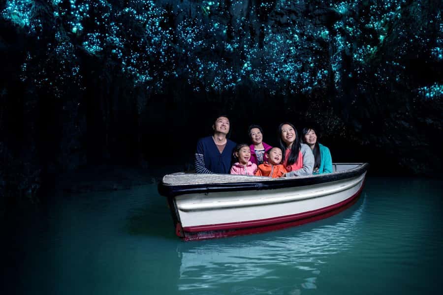 Auckland: Waitomo Caves & Rotorua - Te Puia Small-Group Tour - The small-group minibus: comfort, timing, and guide energy