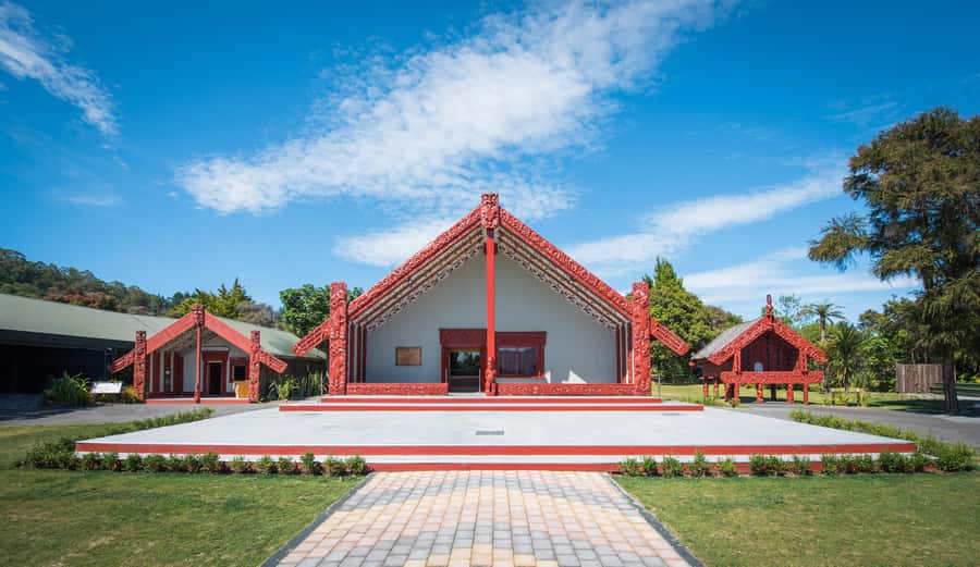 Auckland: Waitomo Caves & Te Puia Rotorua w Picnic Lunch - Who should book this Auckland-to-Rotorua day, and who should skip it
