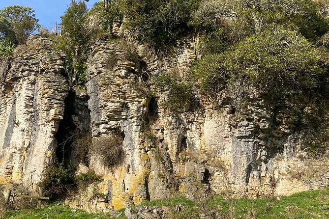 Auckland : Waitomo Spellbound Glow Worm Twin Caves Private Tour - Glowworm Grotto: what the 20-minute boat ride is really like