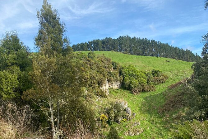 Auckland : Waitomo Spellbound Glow Worm Twin Caves Private Tour - Tea and coffee between caves: the small break that makes the day work