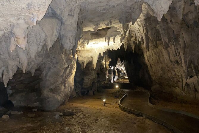 Auckland : Waitomo Spellbound Glow Worm Twin Caves Private Tour - Price and value: is $465.43 per person fair?