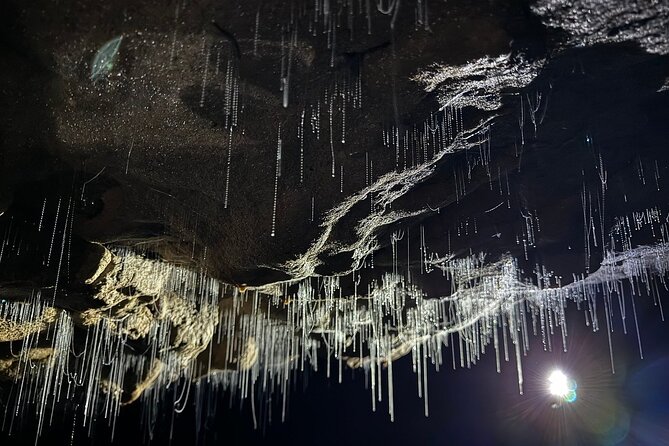 Auckland : Waitomo Spellbound Glow Worm Twin Caves Private Tour - The 7:45 am start and the luxury pickup that saves your energy