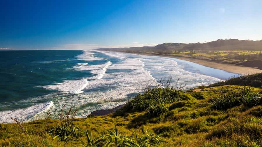 Auckland: West Coast Discovery - Key highlights worth planning around