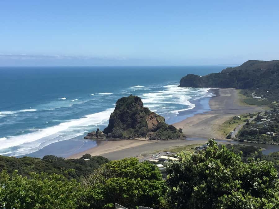 Auckland: West Coast Discovery - Getting out of Auckland: Mercedes comfort, Wi‑Fi, and a driver/guide who chats