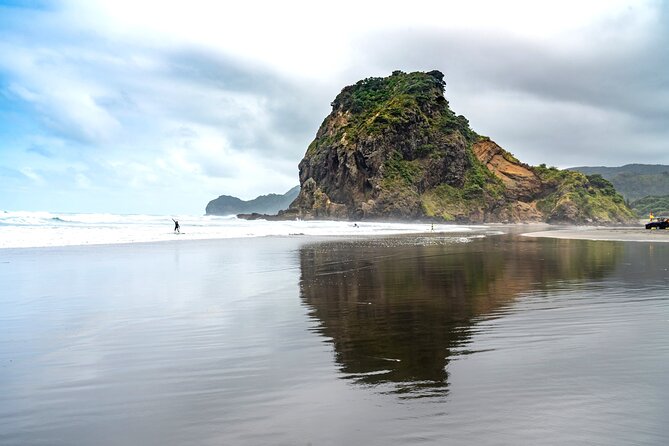 Auckland West Coast Half-Day Private Tour - Arataki Visitor Centre: Your Calm, Smart Start in the Waitākere Ranges