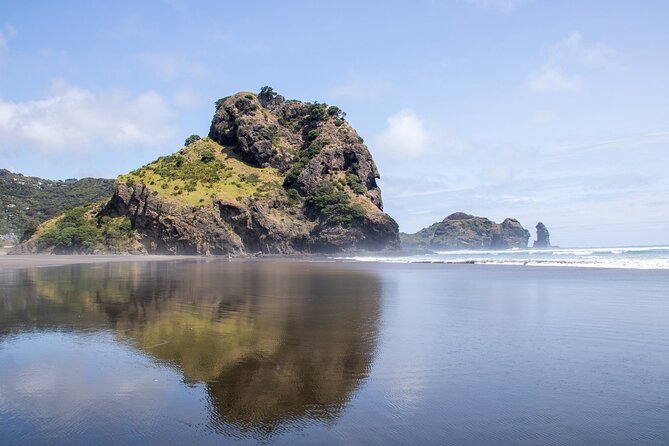 Auckland West Coast Half-Day Private Tour - What Your Local Guide Adds (Beyond the View)