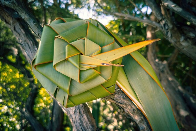 Auckland West Coast Half-Day Private Tour - Who This Tour Suits Best (And Who Might Want Another Option)