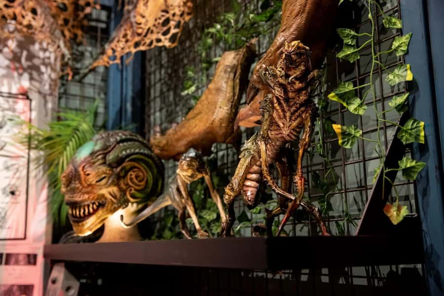 Auckland: Wētā Workshop Unleashed Guided Tour Ticket - Your guide experience: humor, pacing, and what to ask when you’re there