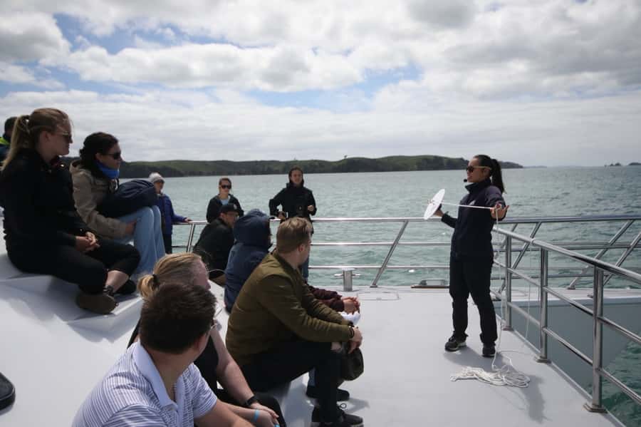 Auckland: Whale and Dolphin Watching Half-Day Eco Cruise - The Dolphin Explorer catamaran: comfort, access, and what it means on the water