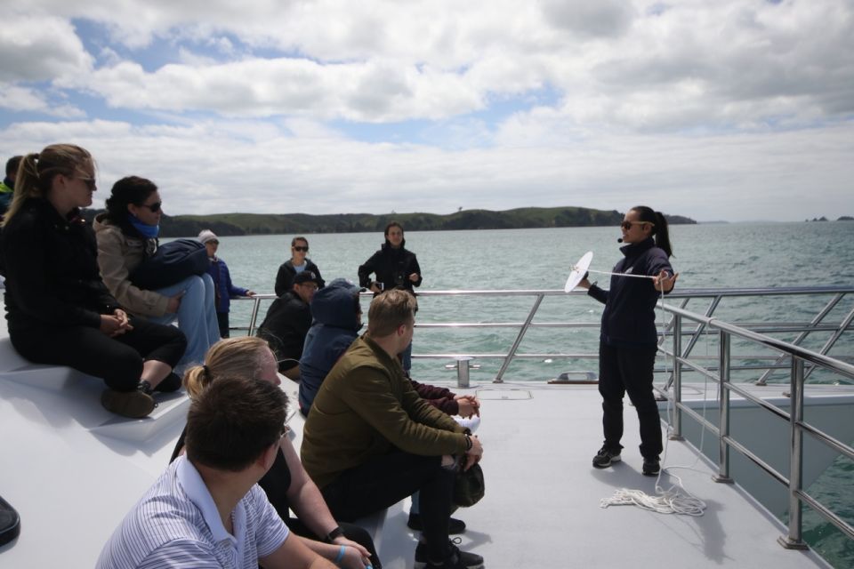 Auckland: Whale and Dolphin Watching Half-Day Eco Cruise - The onboard science angle: research, plankton, and why it feels different