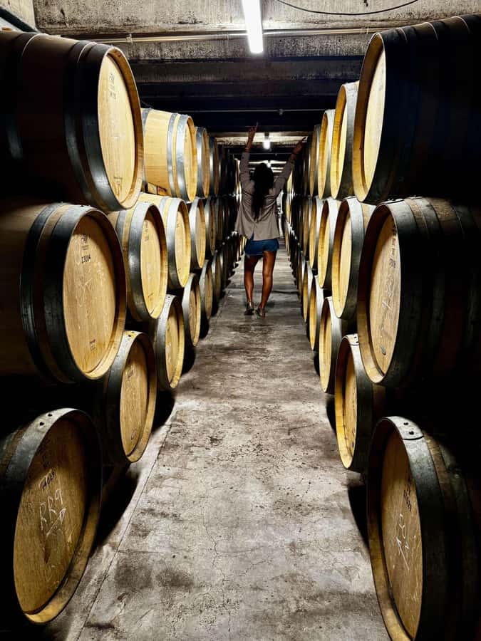 Auckland: Wine region tour with tastings and gourmet lunch - Key takeaways before you go