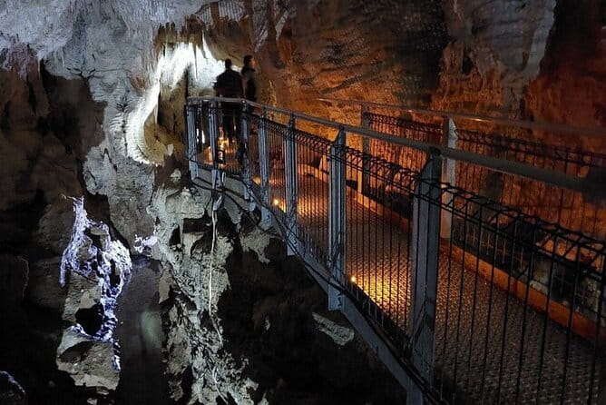 Auckland's Wild West Coast & Black Sand Beaches Tour inc Lunch - When this tour is a great match