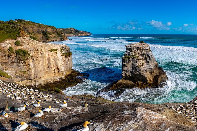Auckland's Wild West Coast & Black Sand Beaches Tour inc Lunch - Sky Tower departure and Harbour Bridge orientation