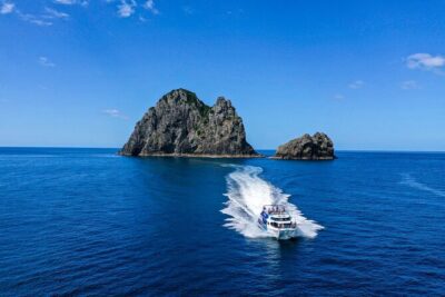 Bay of Islands 2-Day Small Group Tour & Cruise from Auckland - Waipoua Forest for Tane Mahuta: Quick, Free, and Purposeful