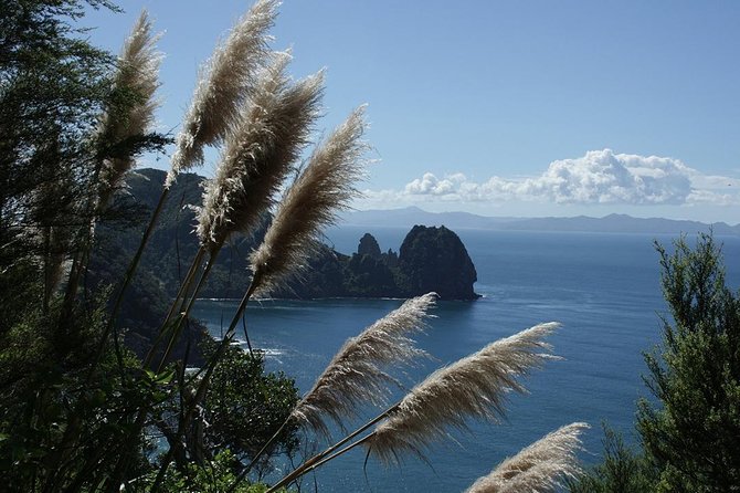 Bay of Islands 2-Day Small Group Tour & Cruise from Auckland - Urupukapuka Island and Otehei Bay: White Sand Time After the Cruise