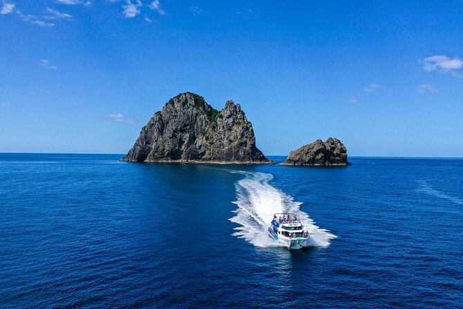 Bay of Islands 2-Day Small Group Tour & Cruise from Auckland - Waipoua Forest for Tane Mahuta: Quick, Free, and Purposeful