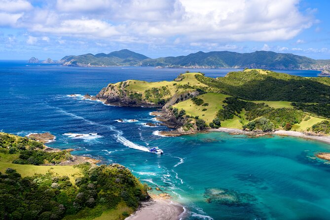 Bay of Islands Discovery Experience from Auckland incl. Hole In The Rock Cruise - Key highlights at a glance