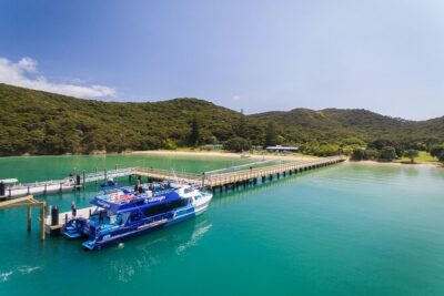 Bay of Islands Discovery Experience from Auckland incl. Hole In The Rock Cruise - Private Transfers, Wi‑Fi, and Comfort Stops That Save Your Energy