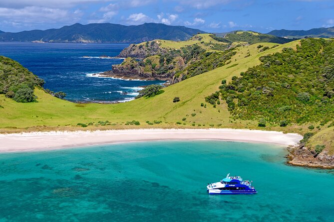 Bay of Islands Discovery Experience from Auckland incl. Hole In The Rock Cruise - Urupukapuka and Otehei Bay: How the 1.5-Hour Island Break Changes the Whole Day