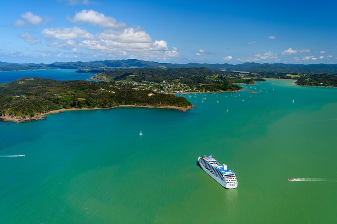 Bay of Islands Discovery Experience from Auckland incl. Hole In The Rock Cruise - What the DOC Marine Mammal Rules Mean for Your Wildlife Odds
