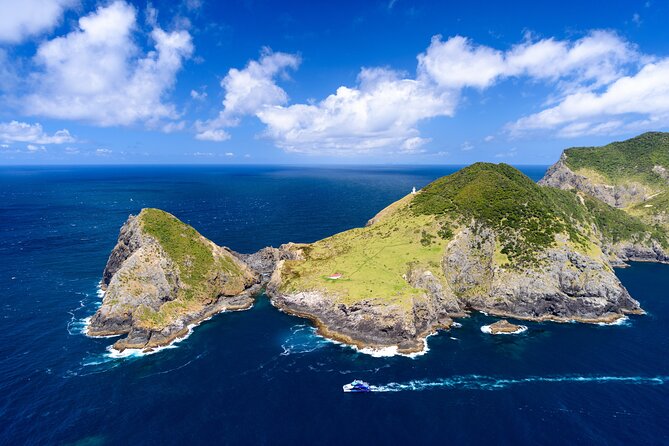 Bay of Islands Discovery Experience from Auckland incl. Hole In The Rock Cruise - Price and Value Around $651 a Person: What You’re Really Paying For