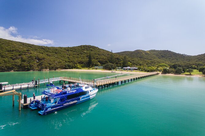 Bay of Islands Discovery Experience from Auckland incl. Hole In The Rock Cruise - Private Transfers, Wi‑Fi, and Comfort Stops That Save Your Energy