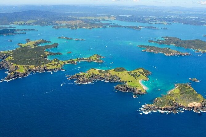 Bay of Islands Private Tour - Price and value: what you’re really paying for at $589.54 per person