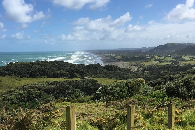 Beautiful Nature Tours Auckland - Private Tour - Stop: Muriwai gannet colony and the wildlife show