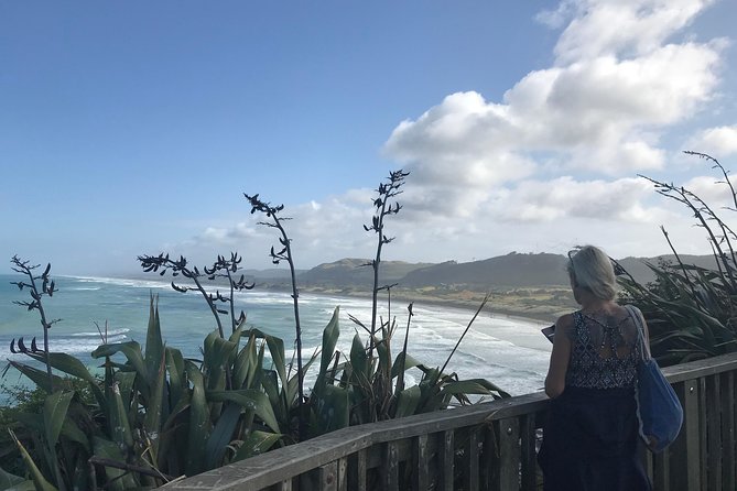 Beautiful Nature Tours Auckland - Private Tour - Snacks, water, and the picnic question