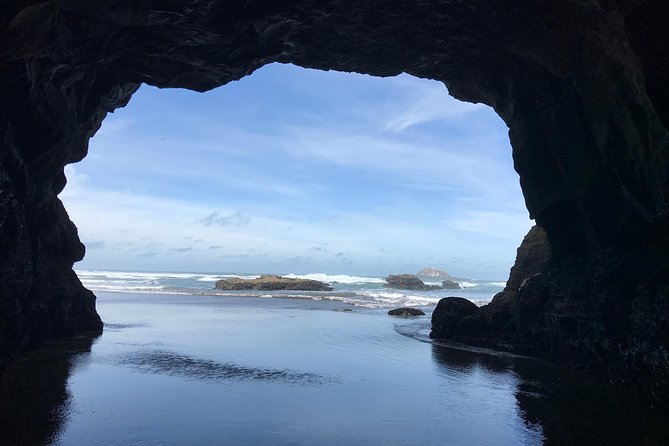 Beautiful Nature Tours Auckland - Private Tour - Who this tour is best for