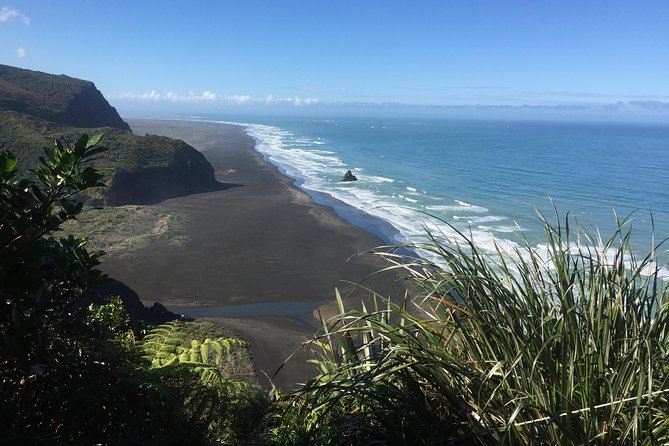 Beautiful Nature Tours Auckland - Private Tour - Price and what you’re really paying for