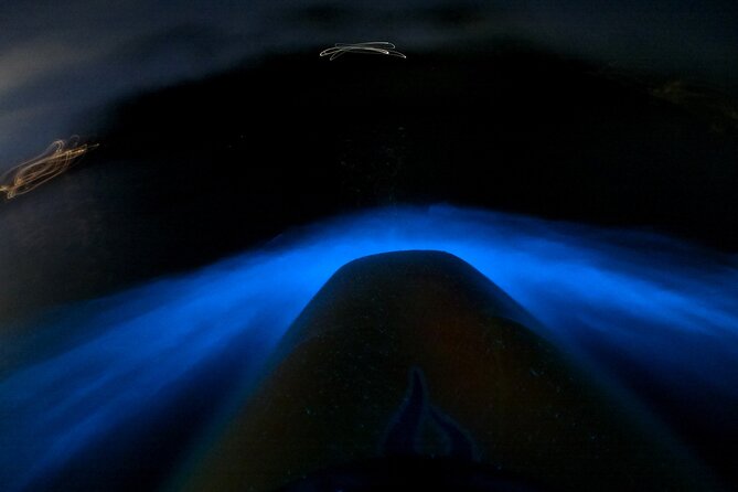 Bioluminescence Kayak Tour - Est. 1994 - Key things I’d circle on your map