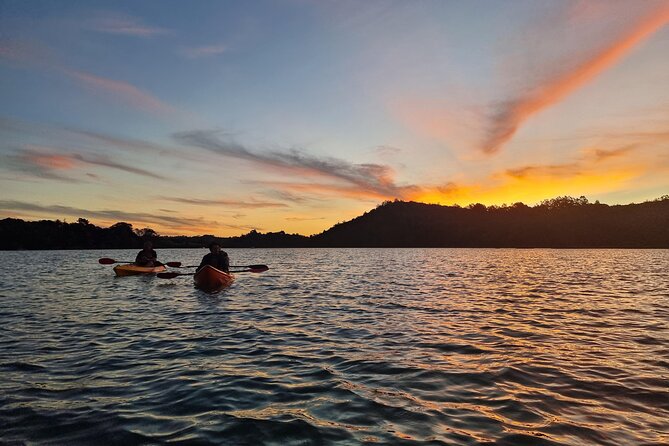 Bioluminescence Kayak Tour - Est. 1994 - Why this Auckland night paddle feels worth $73.85