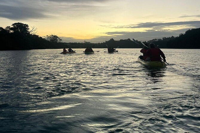 Bioluminescence Kayak Tour - Est. 1994 - 2 hours on the water: how beginner lessons stay safe and fun