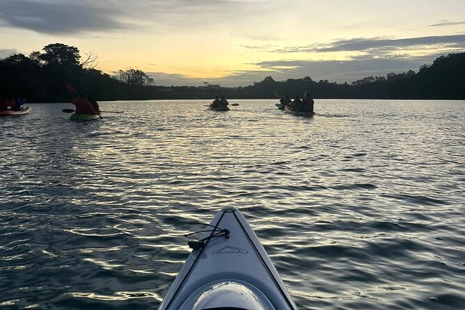 Bioluminescence Kayak Tour - Est. 1994 - Bioluminescence reality check: why glow varies and photos can disappoint