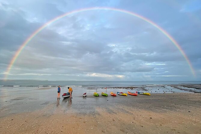 Bioluminescence Kayak Tour - Est. 1994 - Weather, cancellations, and how to plan Auckland nights without stress