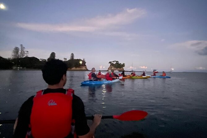 Bioluminescence Kayak Tour - Est. 1994 - Who should book this bioluminescence kayak tour