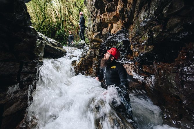 Black Abyss: Ultimate Waitomo Caving - Private Tour from Auckland - Food and the included cafe-style lunch