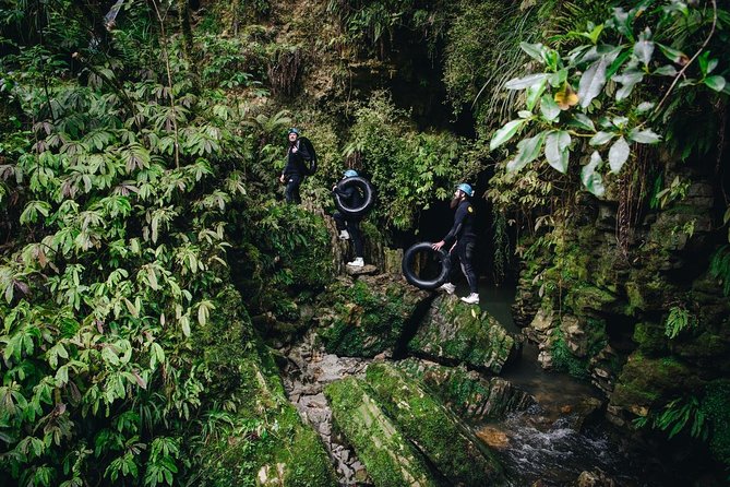 Black Abyss: Ultimate Waitomo Caving - Private Tour from Auckland - Price and value: $775.10 per person isn’t cheap, but it’s all-in