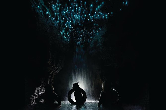 Black Water Rafting Experience Waitomo Caves Tour - Key things to know before you go