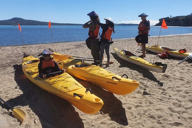 Browns Island Motukorea Sea Kayak Tour - Price and value: is $93.09 a good deal for this Auckland outing?