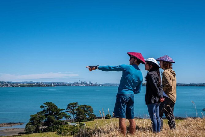 Browns Island Motukorea Sea Kayak Tour - Who should book this Browns Island sea kayak tour (and who should practice first)?