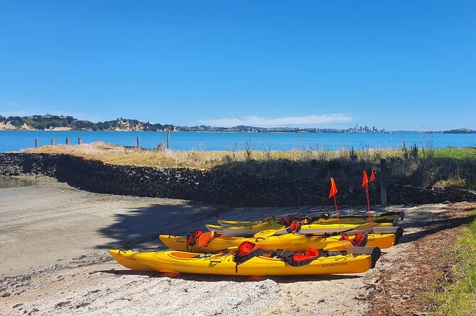Browns Island Motukorea Sea Kayak Tour - Stop 1: the one-hour Hauraki Gulf paddle out (views + marine spotting)