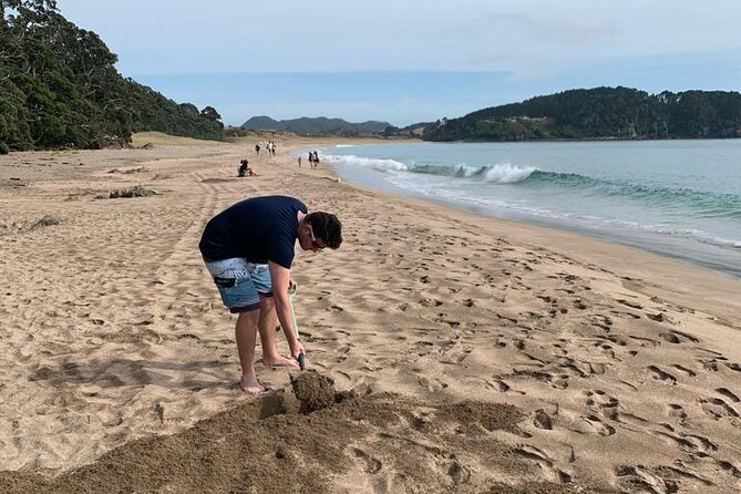 Cathedral Cove and Hot Water Beach Scenic Day Tour from Auckland - Who this day tour suits best