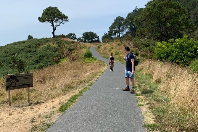 Cathedral Cove and Hot Water Beach Scenic Day Tour from Auckland - Should you book this Cathedral Cove and Hot Water Beach tour?