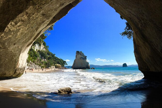 Cathedral Cove & Coromandel, Small-Group Tour from Auckland - Key highlights you’ll feel from the moment you board
