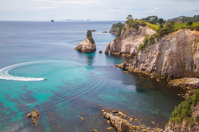 Cathedral Cove & Coromandel, Small-Group Tour from Auckland - Leaving Auckland early: the 6:30am start that makes the day work